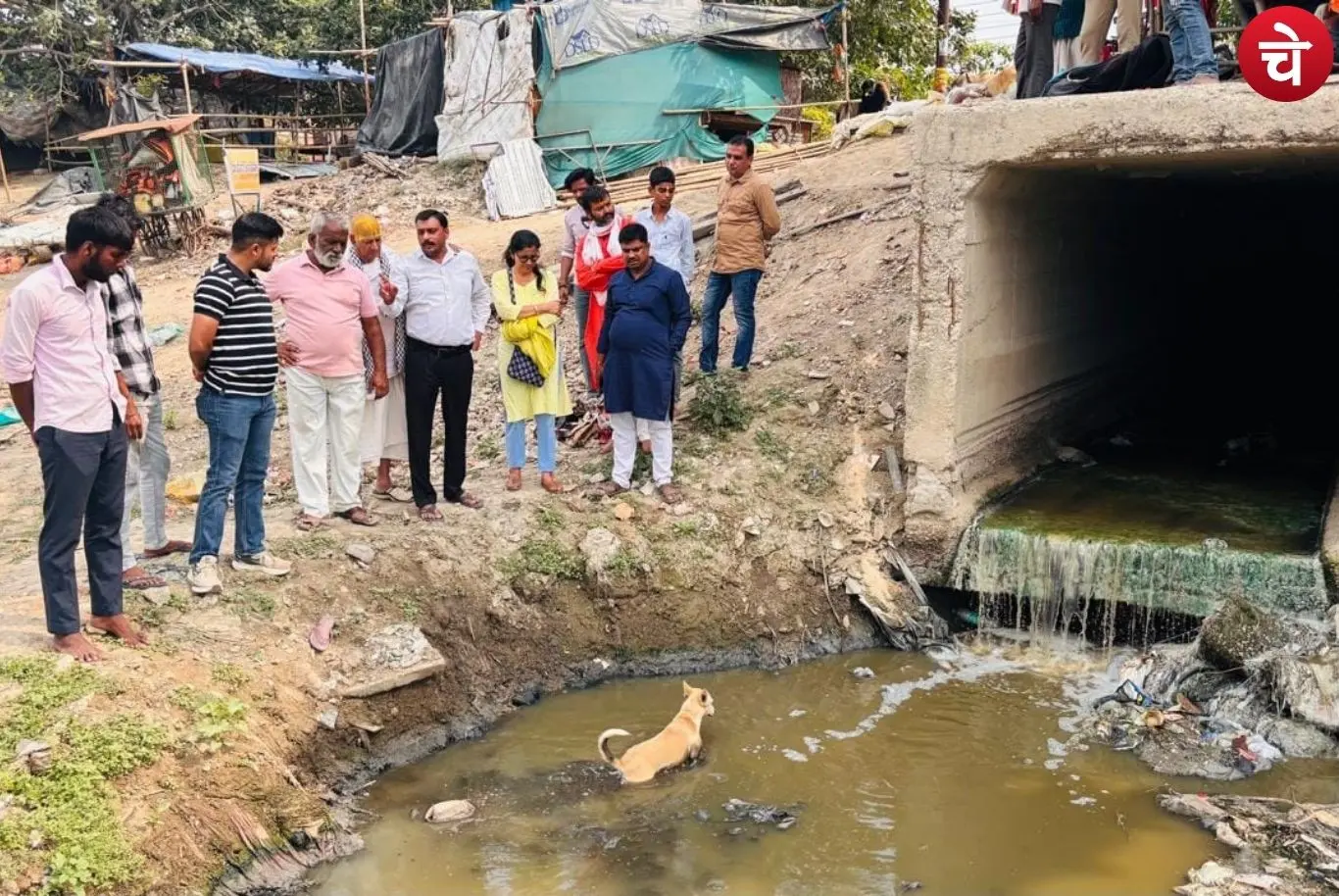 Yamuna Pollution